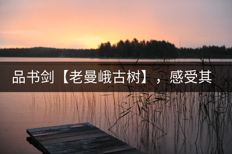 品書(shū)劍【老曼峨古樹(shù)】，感受其霸道苦韻