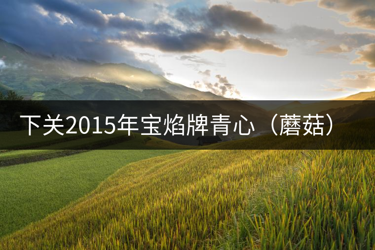 下關2015年寶焰牌青心（蘑菇）沱品鑒