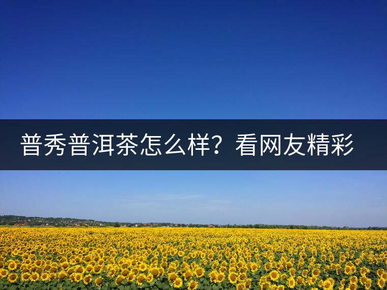 普秀普洱茶怎么樣？看網(wǎng)友精彩回答