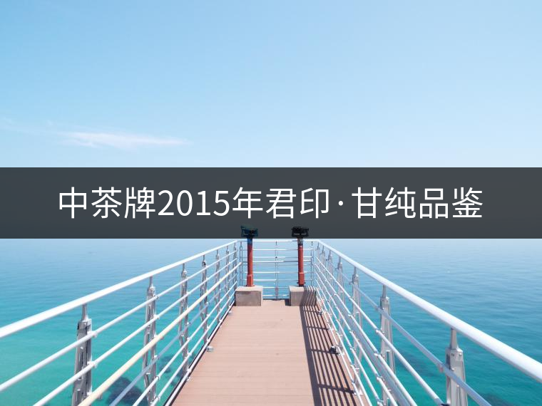 中茶牌2015年君印·甘純品鑒