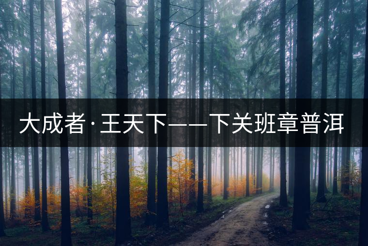 大成者·王天下——下關班章普洱茶開湯品鑒 大成者·王天下——下關班章普洱茶開湯品鑒