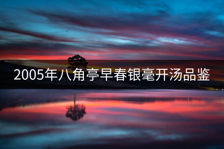 2005年八角亭早春銀毫開(kāi)湯品鑒