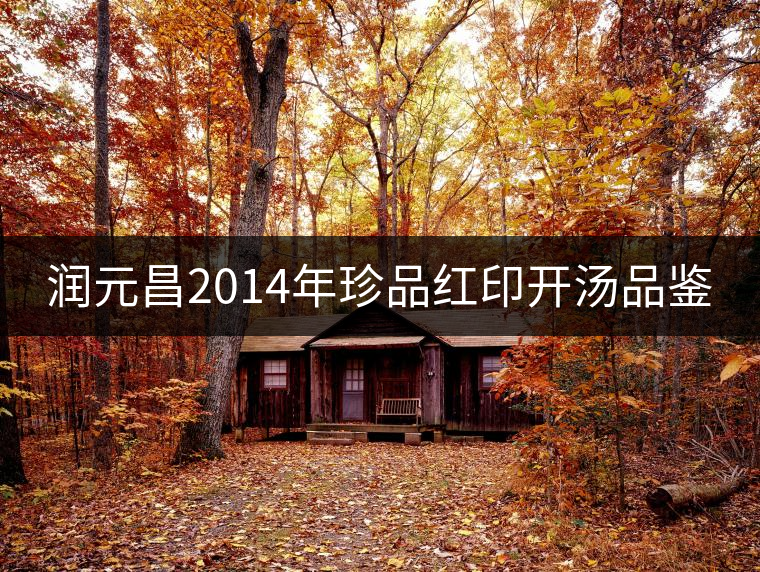 潤元昌2014年珍品紅印開湯品鑒