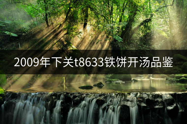 2009年下關(guān)t8633鐵餅開(kāi)湯品鑒 2009年下關(guān)t8633鐵餅開(kāi)湯品鑒