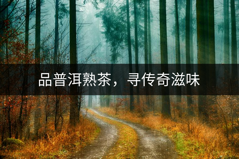 品普洱熟茶，尋傳奇滋味