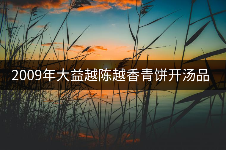2009年大益越陳越香青餅開(kāi)湯品鑒