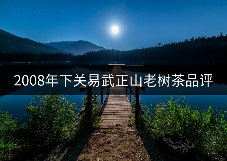 2008年下關易武正山老樹茶品評
