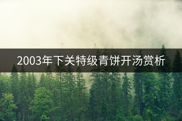 2003年下關(guān)特級(jí)青餅開(kāi)湯賞析