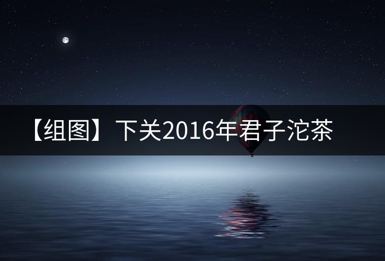 【組圖】下關2016年君子沱茶（易武）開湯