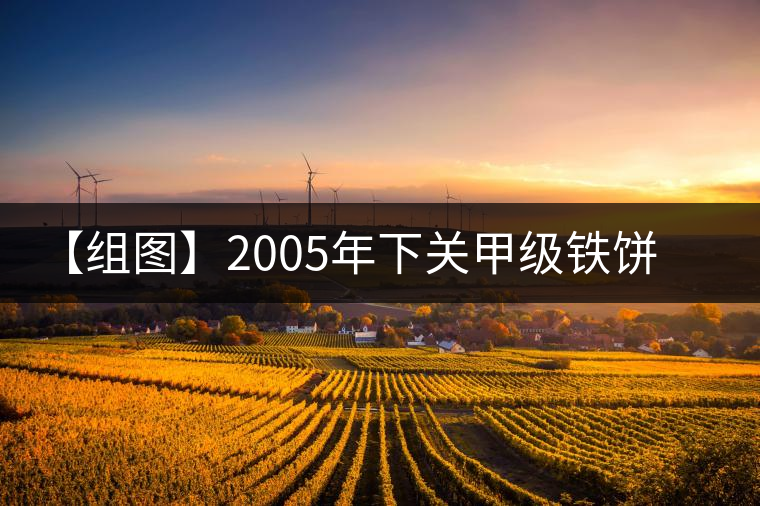 【組圖】2005年下關(guān)甲級鐵餅開湯