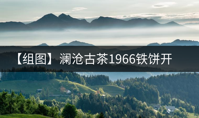 【組圖】瀾滄古茶1966鐵餅開(kāi)湯 【組圖】瀾滄古茶1966鐵餅開(kāi)湯