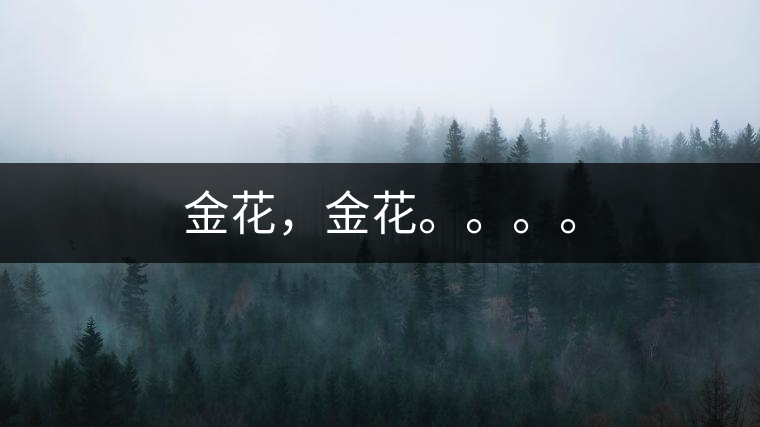 金花，金花。。。。
