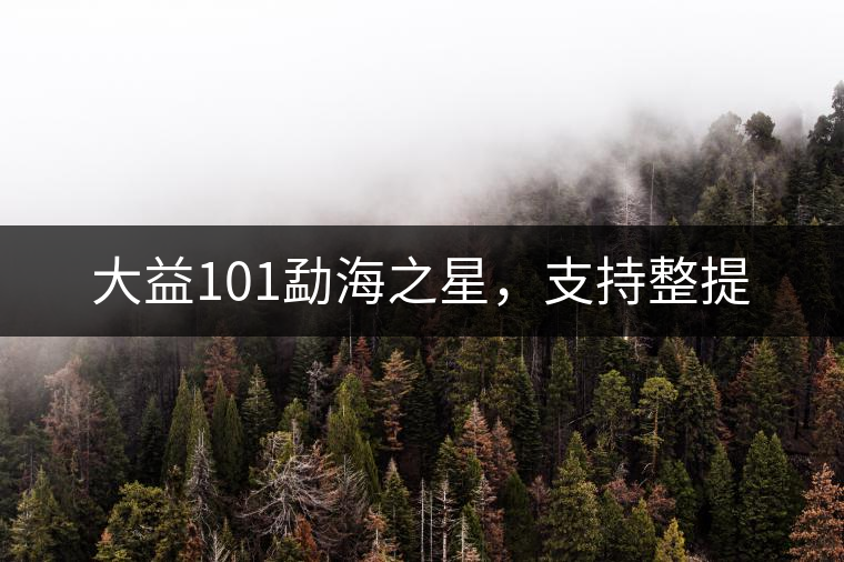 大益101勐海之星，支持整提