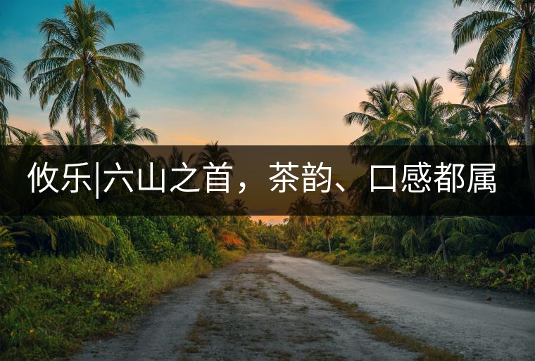 攸樂|六山之首，茶韻、口感都屬古六山一系
