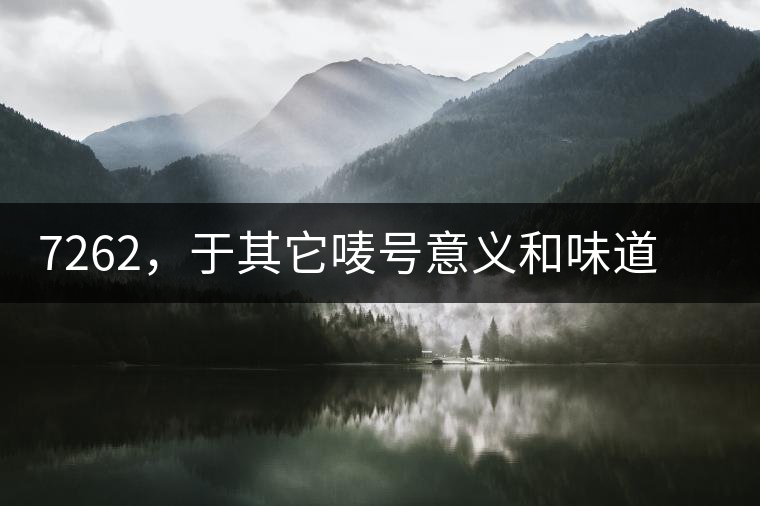 7262，于其它嘜號意義和味道都不一樣的大益高等級熟餅