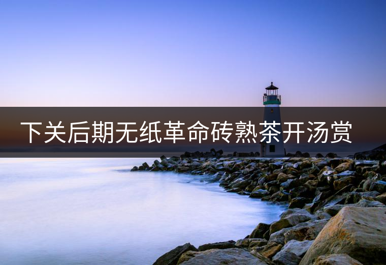 下關(guān)后期無(wú)紙革命磚熟茶開湯賞析 下關(guān)后期無(wú)紙革命磚熟茶開湯賞析