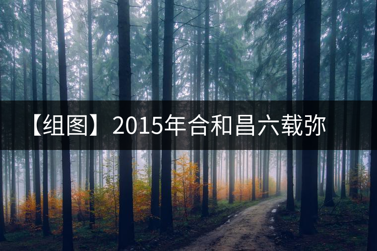 【組圖】2015年合和昌六載彌臻小紅盒開湯
