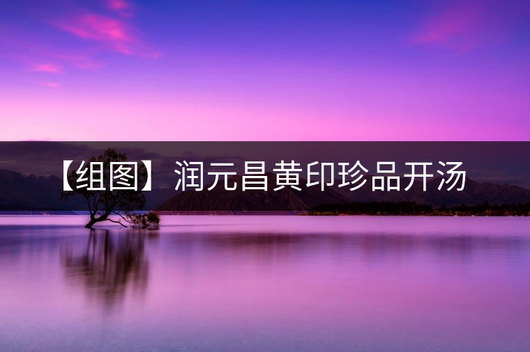 【組圖】潤(rùn)元昌黃印珍品開湯