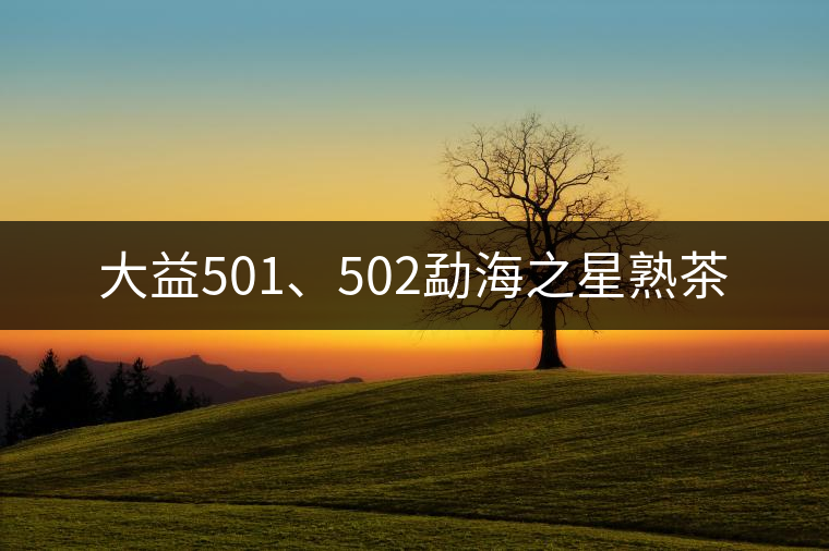 大益501、502勐海之星熟茶