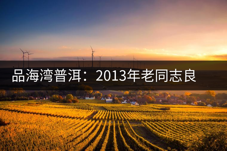 品海灣普洱:2013年老同志良再品普洱茶開(kāi)湯 品海灣普洱:2013年老同志良再品普洱茶開(kāi)湯