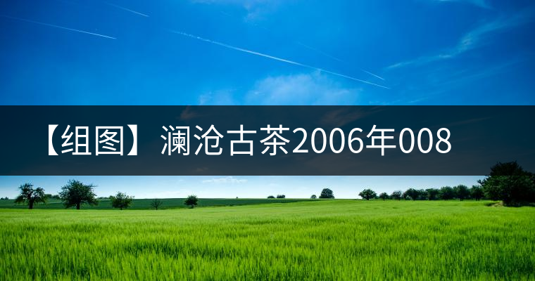 【組圖】瀾滄古茶2006年0081班禪沱開(kāi)湯