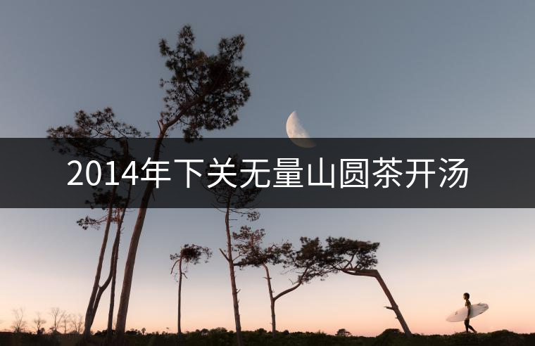 2014年下關(guān)無(wú)量山圓茶開湯 2014年下關(guān)無(wú)量山圓茶開湯
