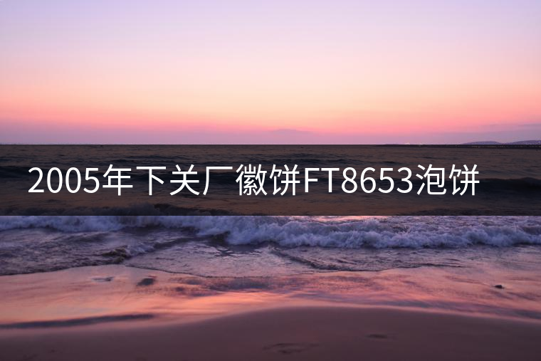 2005年下關(guān)廠(chǎng)徽餅FT8653泡餅開(kāi)湯