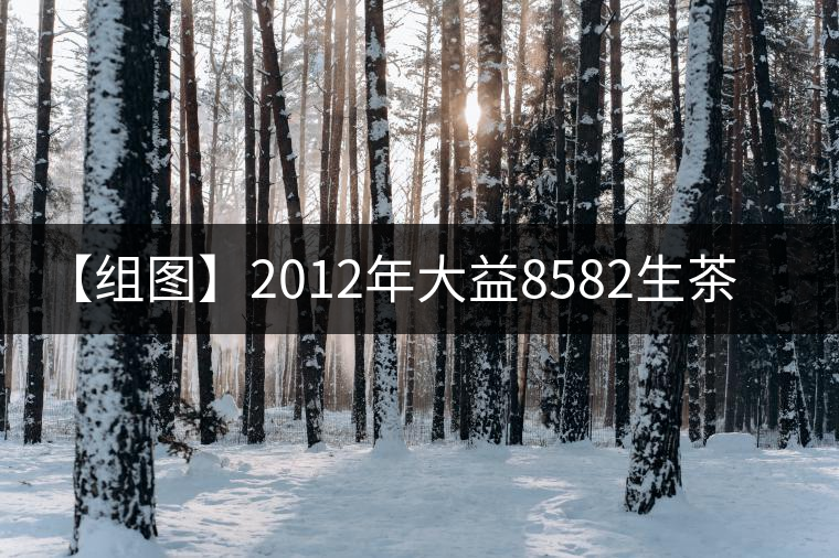 【組圖】2012年大益8582生茶開湯