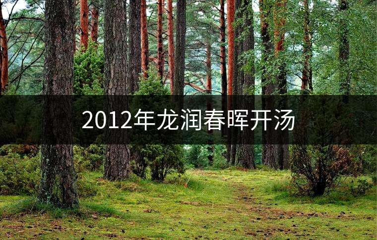 2012年龍潤(rùn)春暉開(kāi)湯 2012年龍潤(rùn)春暉開(kāi)湯