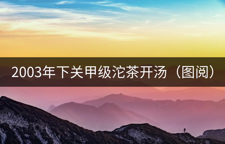 2003年下關(guān)甲級(jí)沱茶開湯（圖閱）