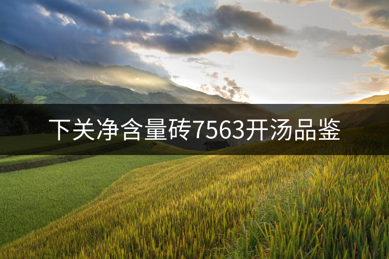 下關(guān)凈含量磚7563開(kāi)湯品鑒 下關(guān)凈含量磚7563開(kāi)湯品鑒