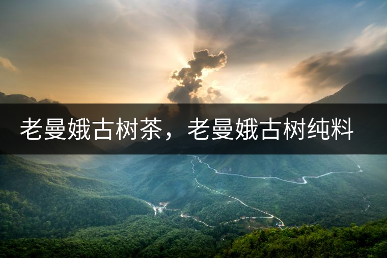 老曼娥古樹(shù)茶，老曼娥古樹(shù)純料生餅