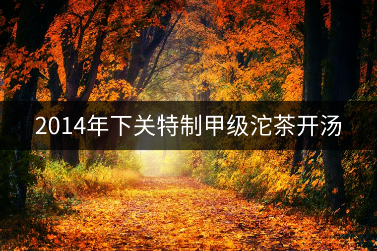 2014年下關(guān)特制甲級(jí)沱茶開湯