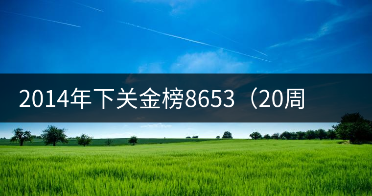 2014年下關金榜8653(20周年紀念餅)品評 2014年下關金榜8653(20周年紀念餅)品評