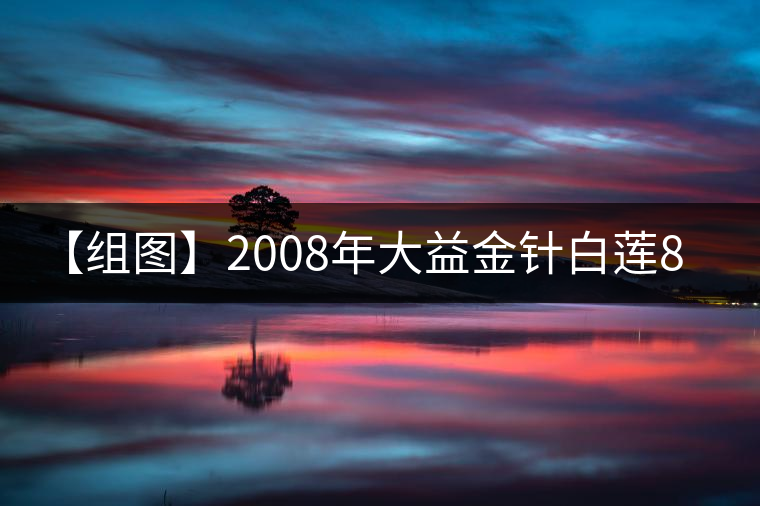 【組圖】2008年大益金針白蓮801批次品評