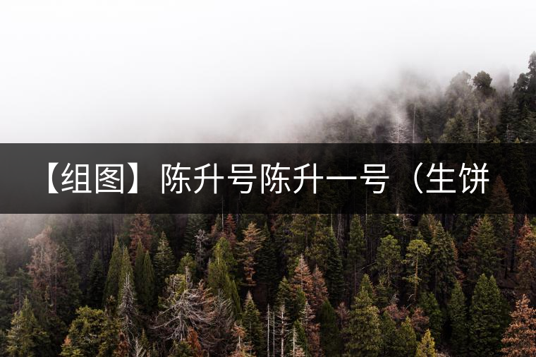 【組圖】陳升號陳升一號(生餅)開湯 【組圖】陳升號陳升一號(生餅)開湯