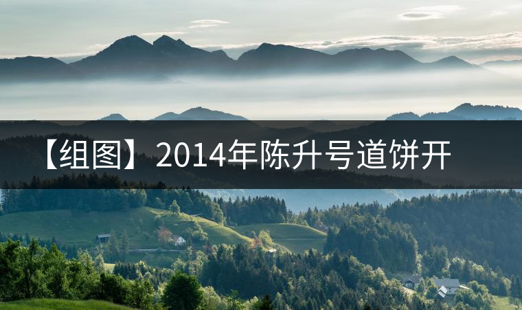 【組圖】2014年陳升號道餅開湯