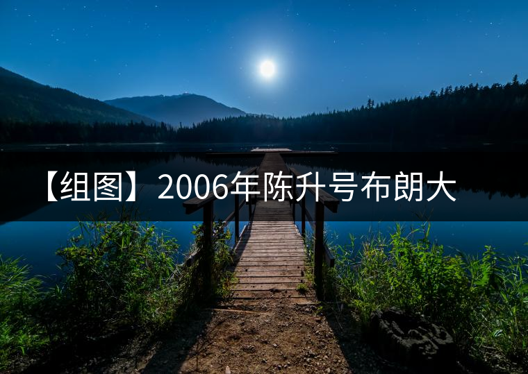 【組圖】2006年陳升號(hào)布朗大樹開湯 【組圖】2006年陳升號(hào)布朗大樹開湯