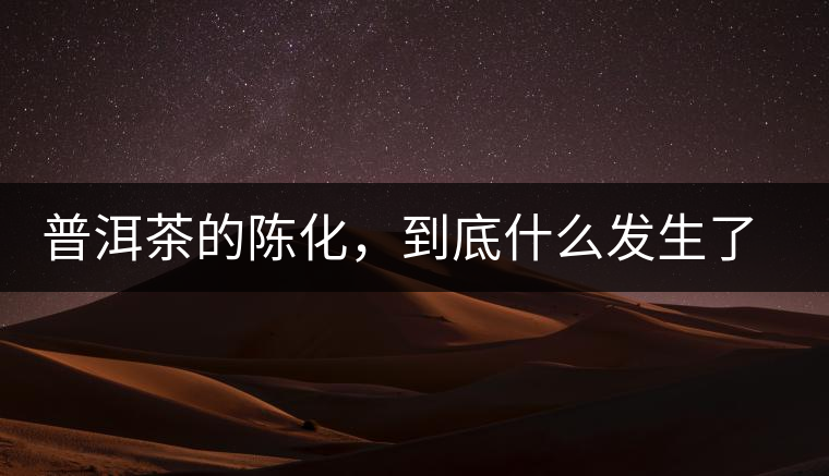 普洱茶的陳化，到底什么發(fā)生了哪些變化？