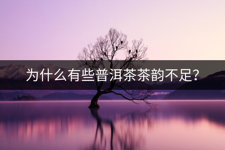 為什么有些普洱茶茶韻不足？