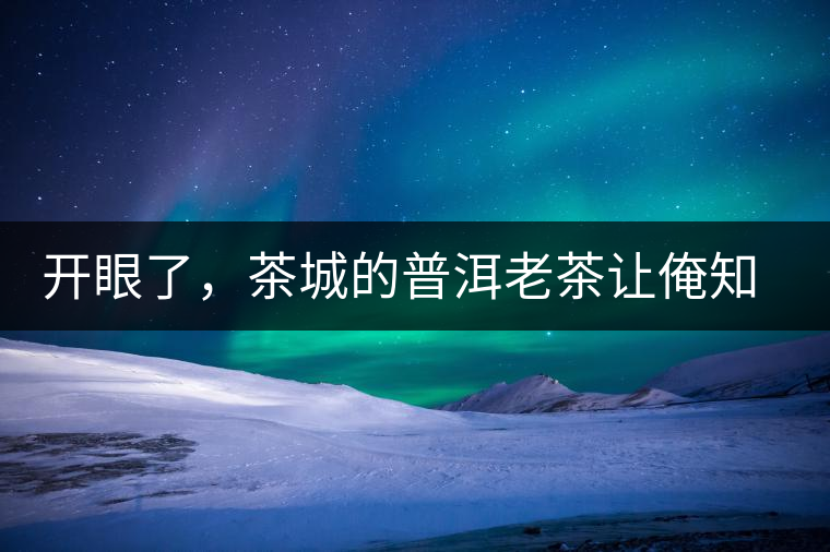 開(kāi)眼了，茶城的普洱老茶讓俺知道了老茶樹(shù)