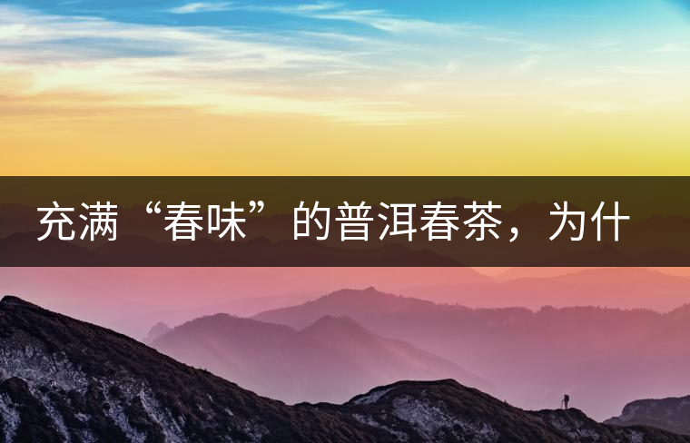 充滿“春味”的普洱春茶，為什么值得期待？