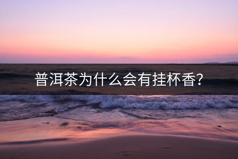 普洱茶為什么會(huì)有掛杯香？