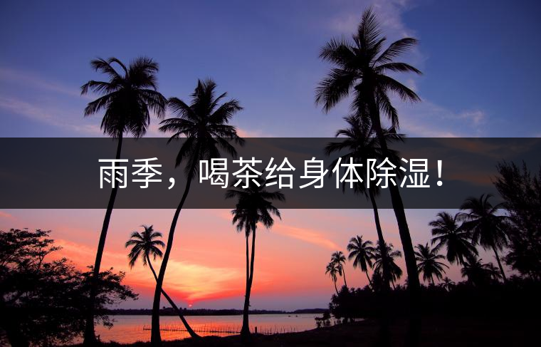 雨季，喝茶給身體除濕！