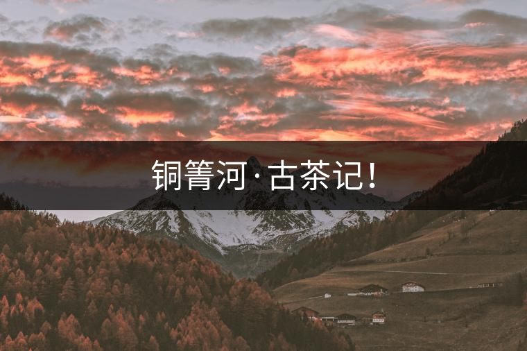 銅箐河·古茶記！