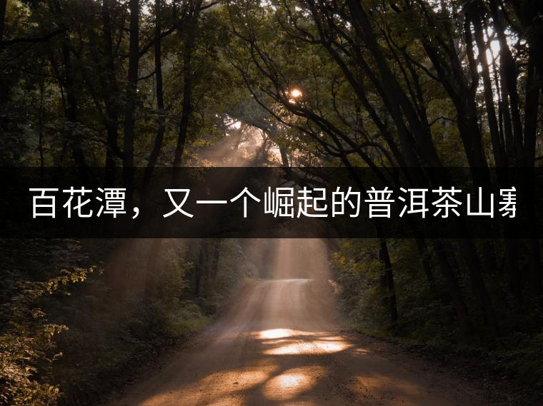 百花潭，又一個(gè)崛起的普洱茶山寨！