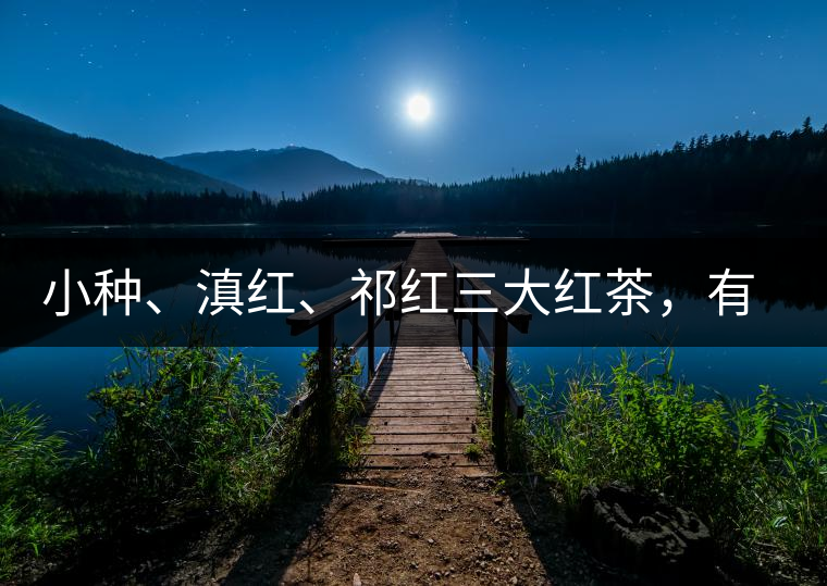 小種、滇紅、祁紅三大紅茶，有何區(qū)別