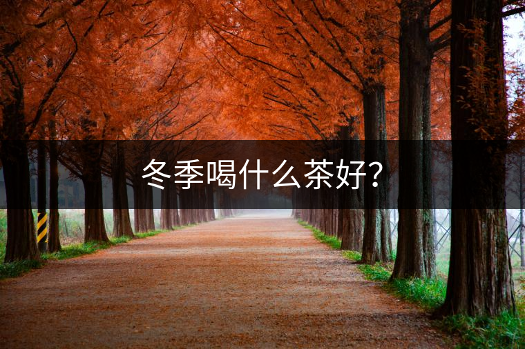 冬季喝什么茶好？