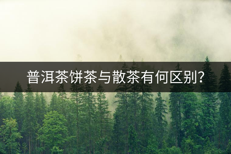 普洱茶餅茶與散茶有何區(qū)別？