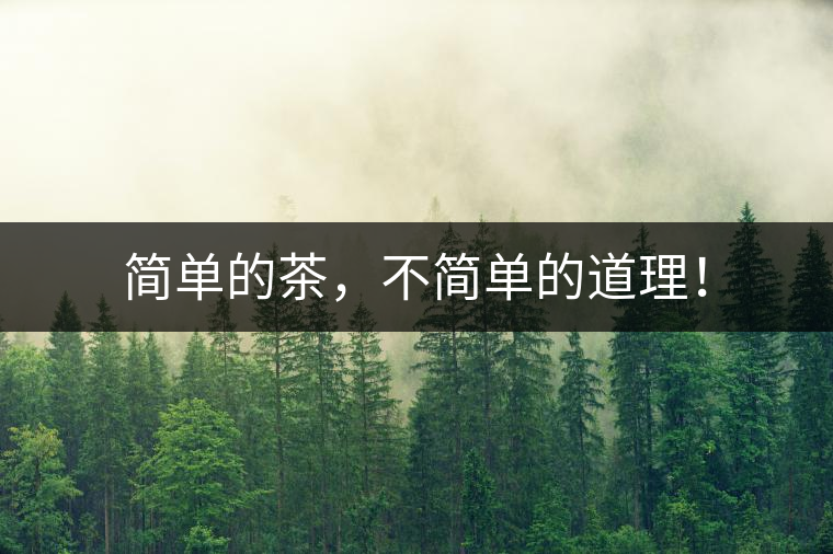 簡單的茶，不簡單的道理！